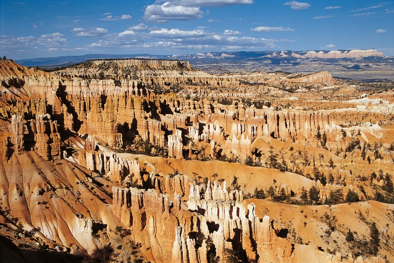 Bryce National Park